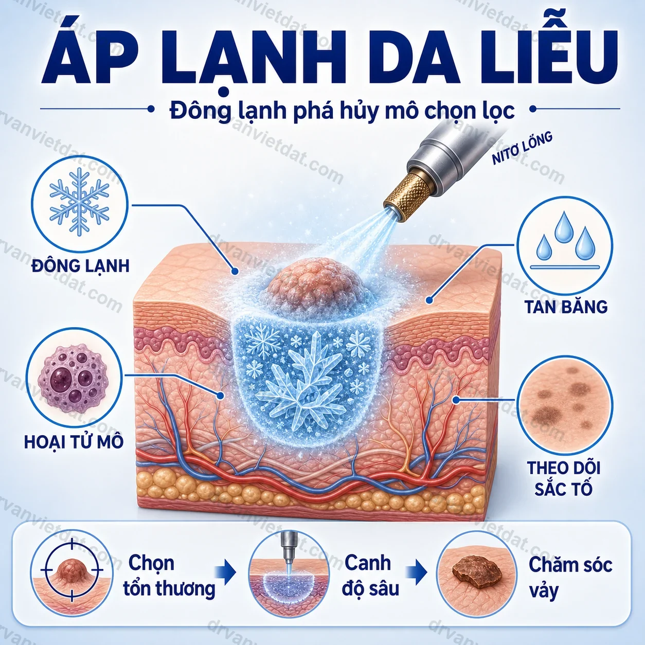 Infographic áp lạnh da liễu