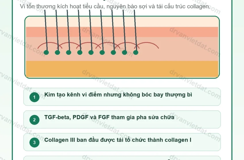  Lăn kim 1: Lăn kim vi điểm và tái tạo collagen – lợi ích thật sự nằm ở đâu?