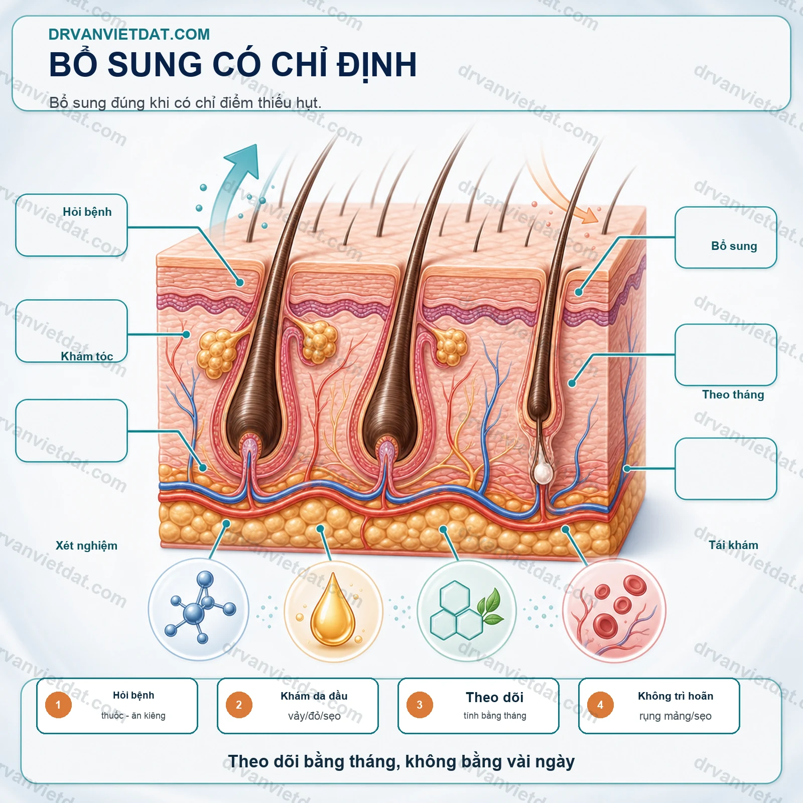 Biotin 1: Biotin và rụng tóc - khi nào thiếu mới cần bổ sung? - thực hành
