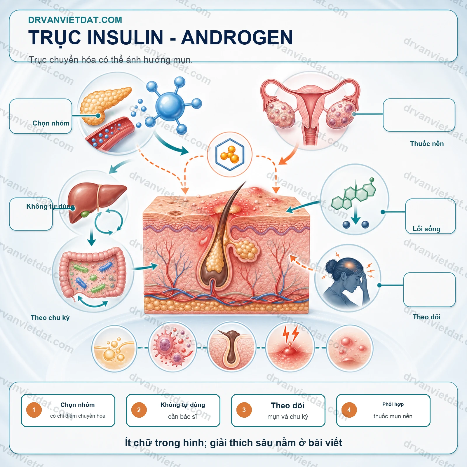 Metformin và mụn trứng cá: vai trò chuyển hóa trong một số nhóm bệnh nhân - cơ chế