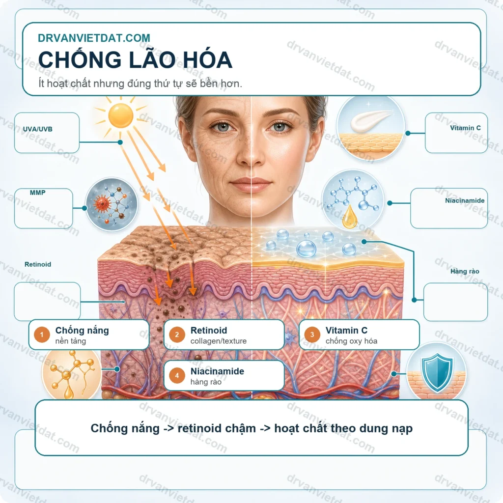 Chống lão hóa 1: Hoạt chất chăm sóc da cần hiểu cơ chế trước khi phối hợp - thumbnail designinfographic