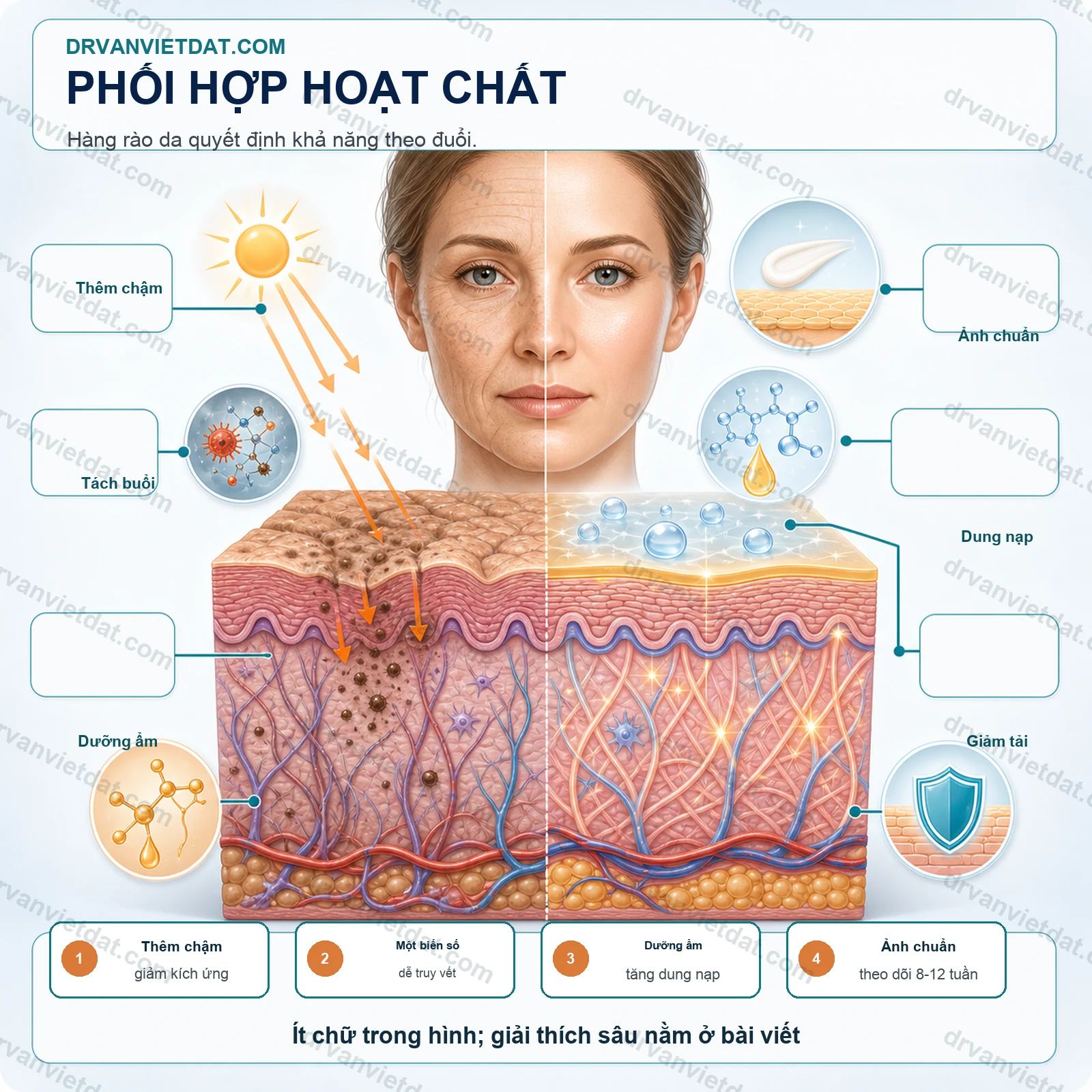 Chống lão hóa 1: Hoạt chất chăm sóc da cần hiểu cơ chế trước khi phối hợp - cơ chế