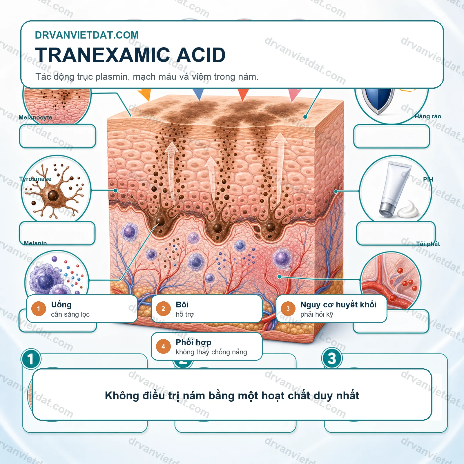 Hydroquinone trong điều trị nám: hiệu quả, cách dùng và nguy cơ khi lạm dụng (phần nền tảng)