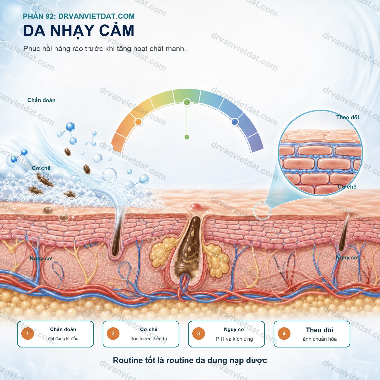 Phần 92: Da nhạy cảm: phục hồi hàng rào da trước khi thêm hoạt chất mạnh