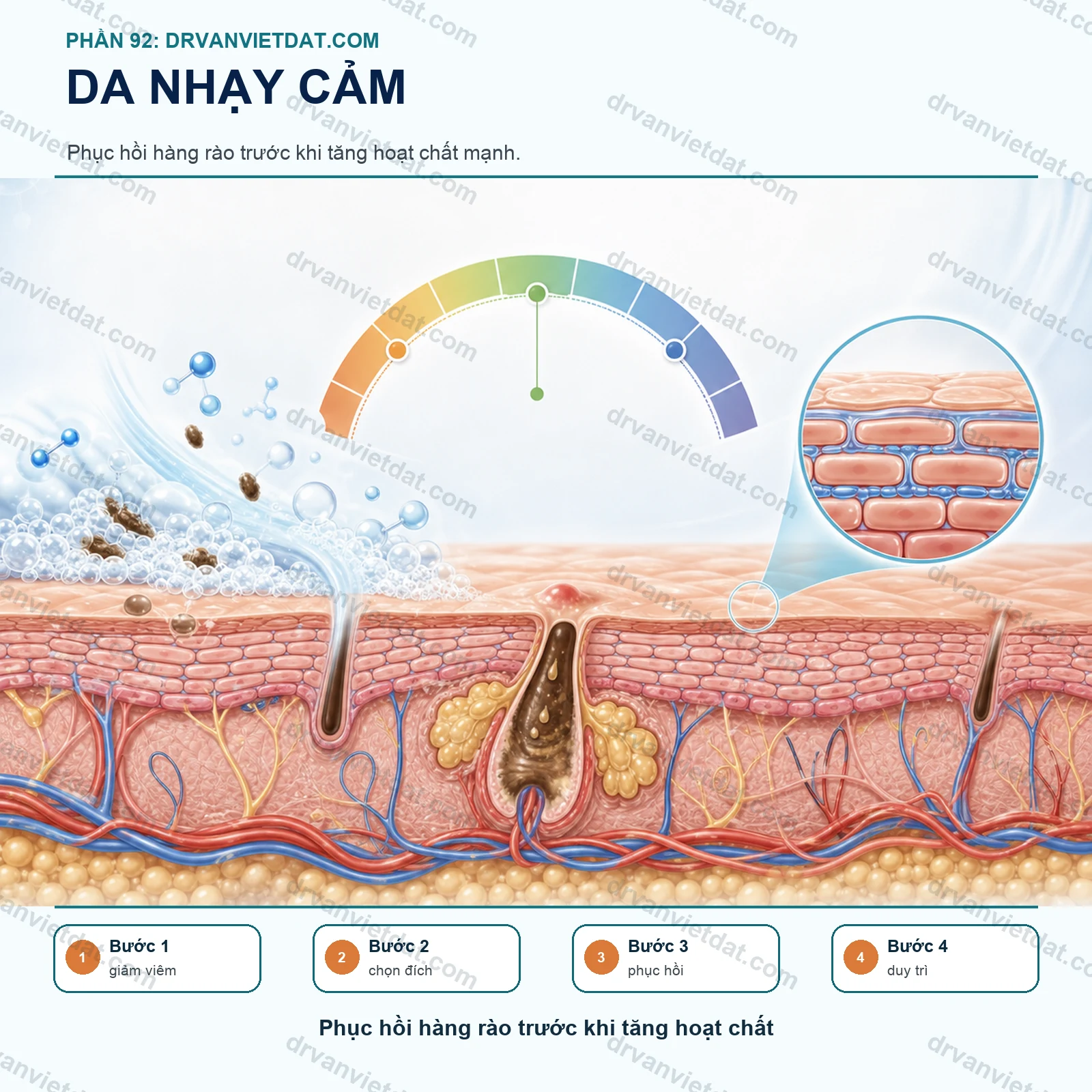 Phần 92: Da nhạy cảm: phục hồi hàng rào da trước khi thêm hoạt chất mạnh