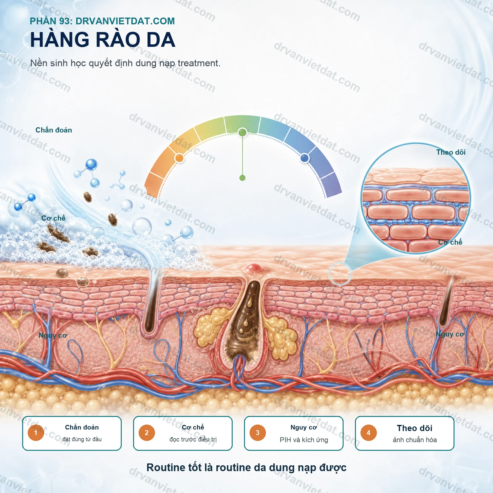 Phần 93: Da nhạy cảm: phục hồi hàng rào da trước khi thêm hoạt chất mạnh - chuyên đề 2