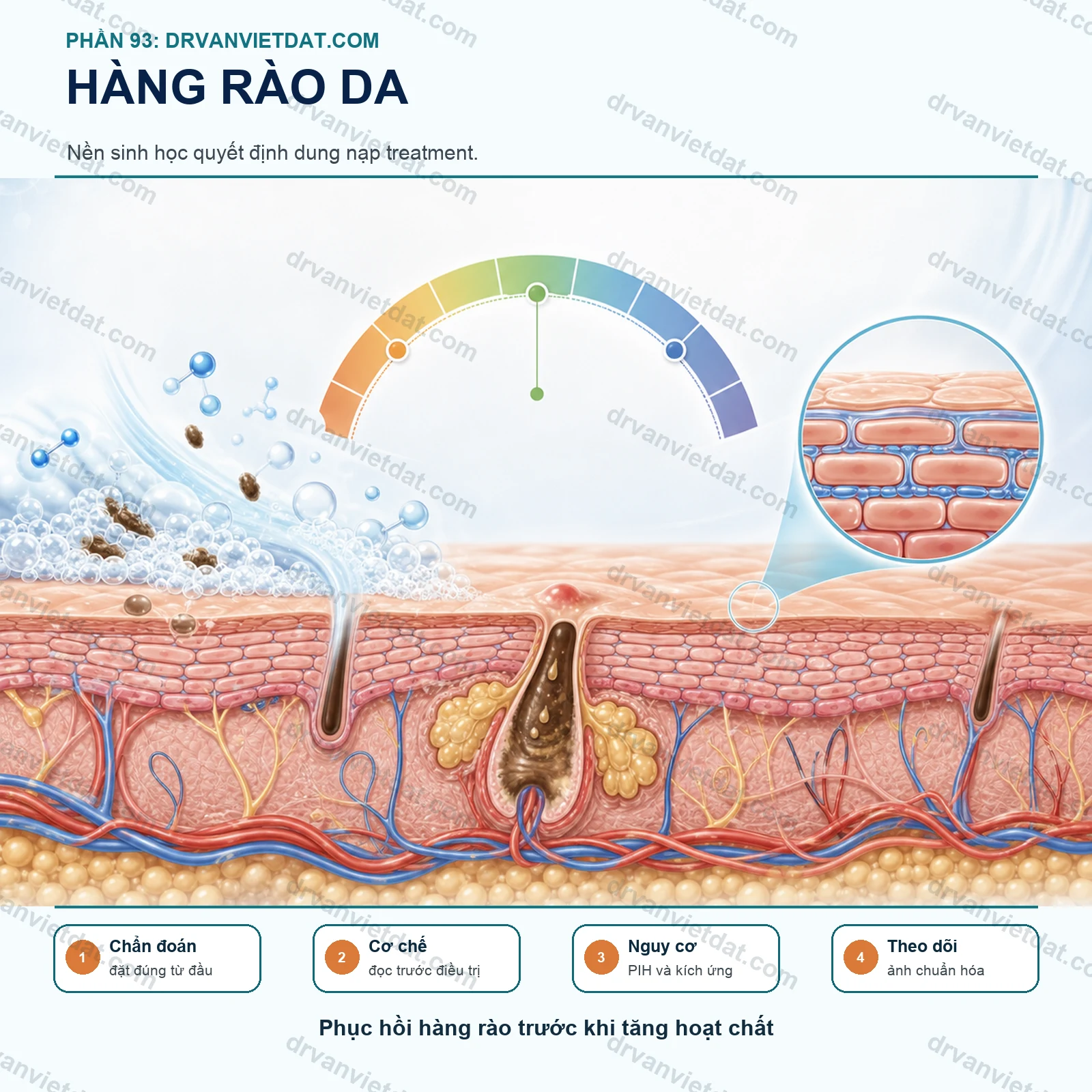 Phần 93: Da nhạy cảm: phục hồi hàng rào da trước khi thêm hoạt chất mạnh - chuyên đề 2