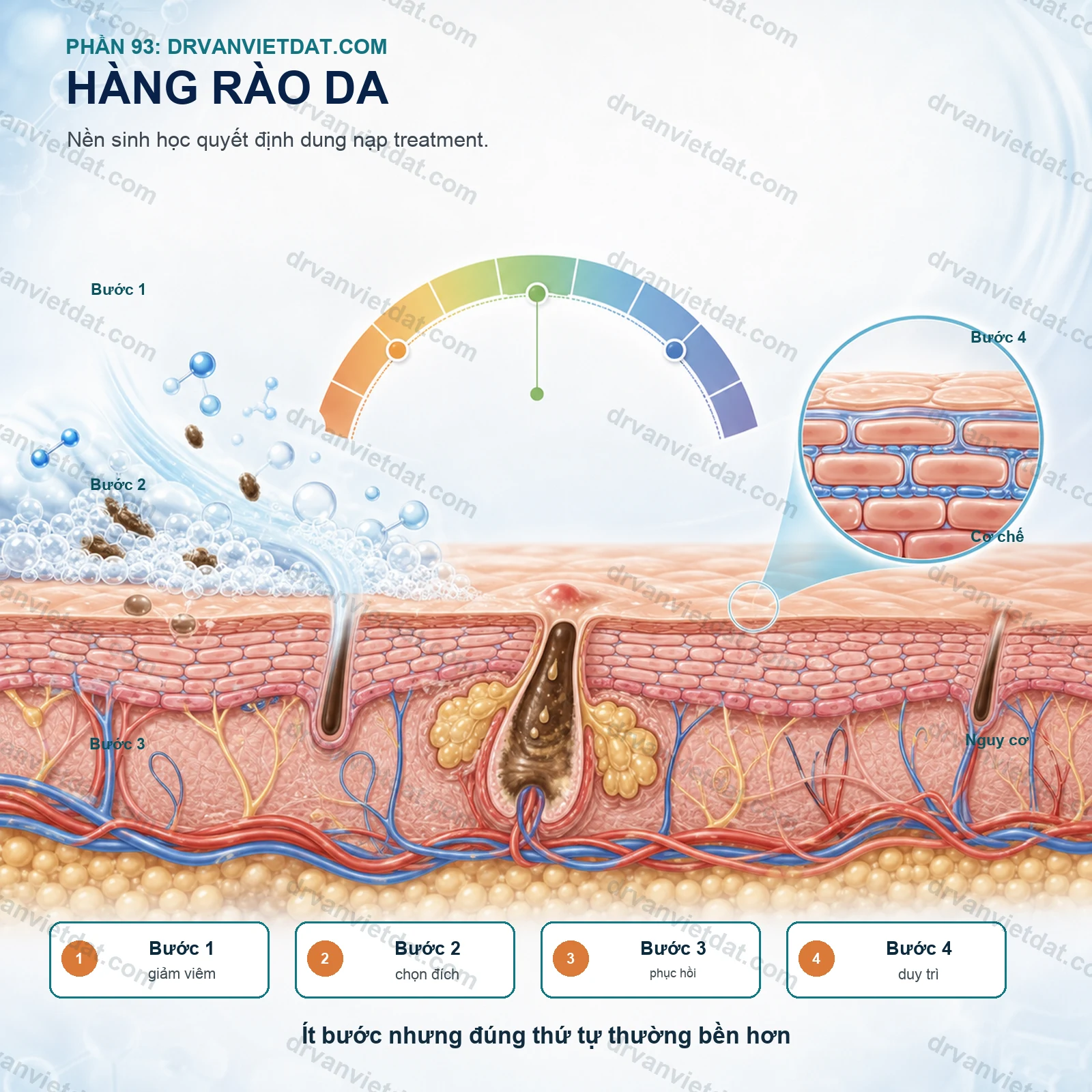Phần 93: Da nhạy cảm: phục hồi hàng rào da trước khi thêm hoạt chất mạnh - chuyên đề 2