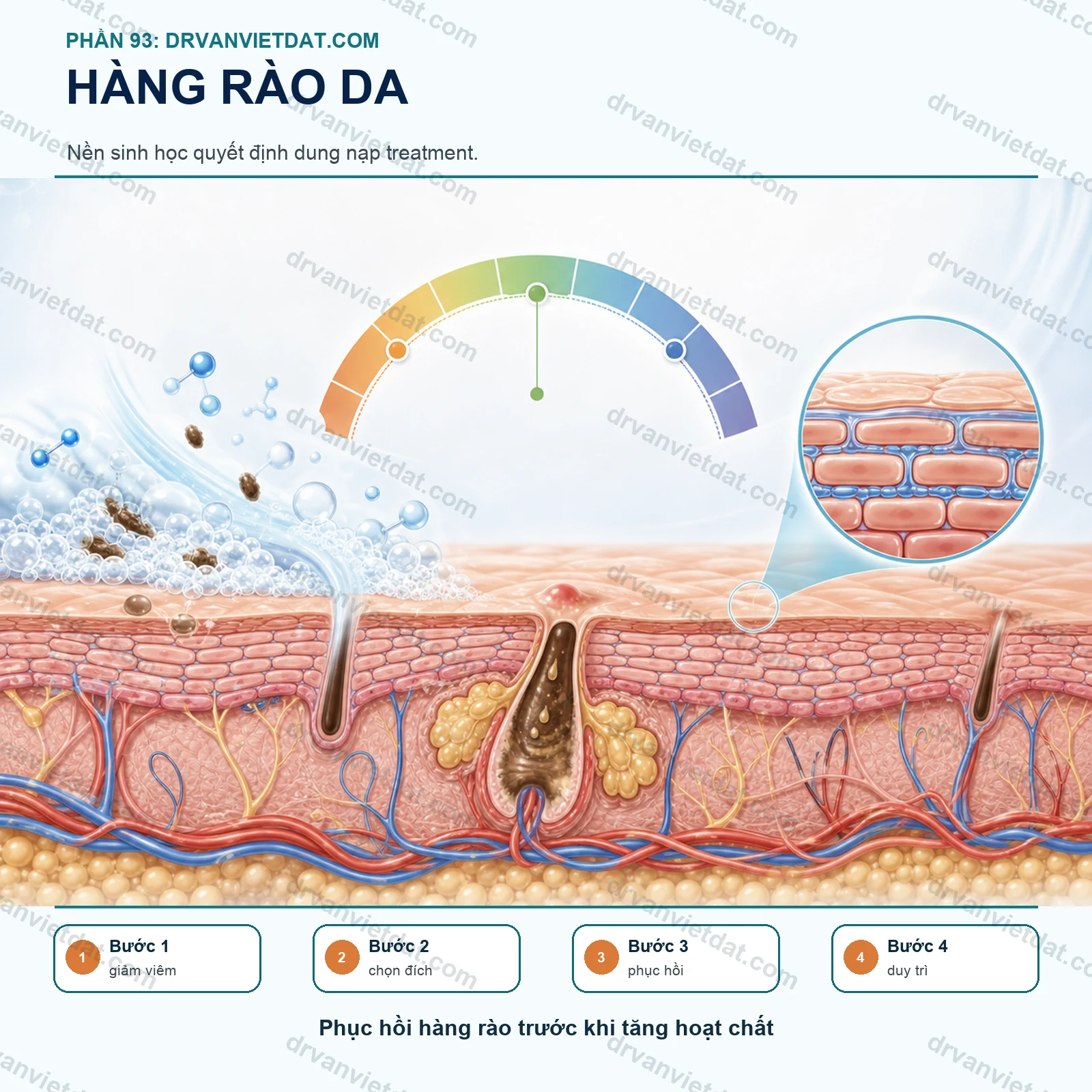 Phần 93: Da nhạy cảm: phục hồi hàng rào da trước khi thêm hoạt chất mạnh - chuyên đề 2