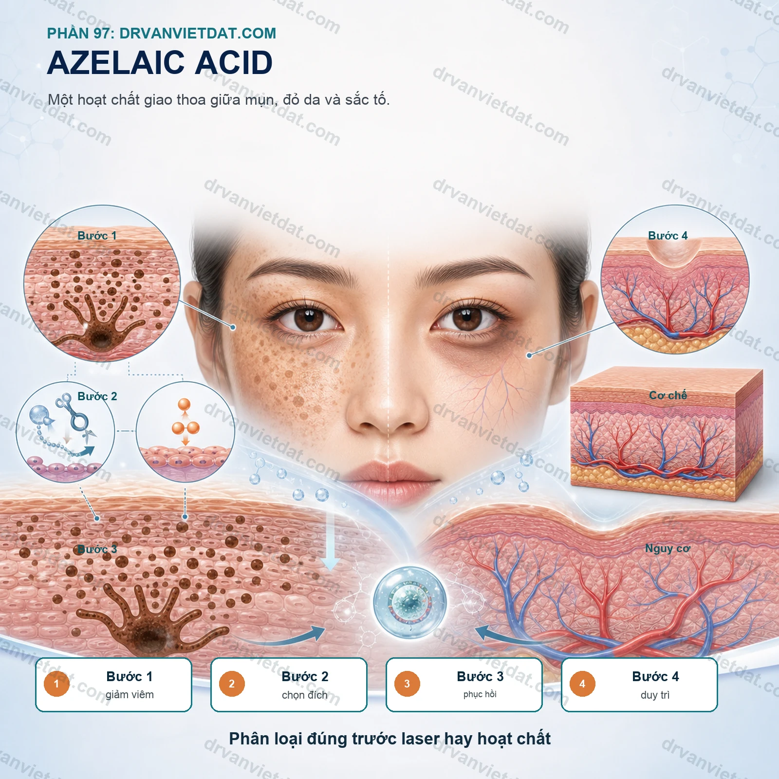 Phần 97: Azelaic acid: hoạt chất giao thoa giữa mụn, đỏ da và tăng sắc tố