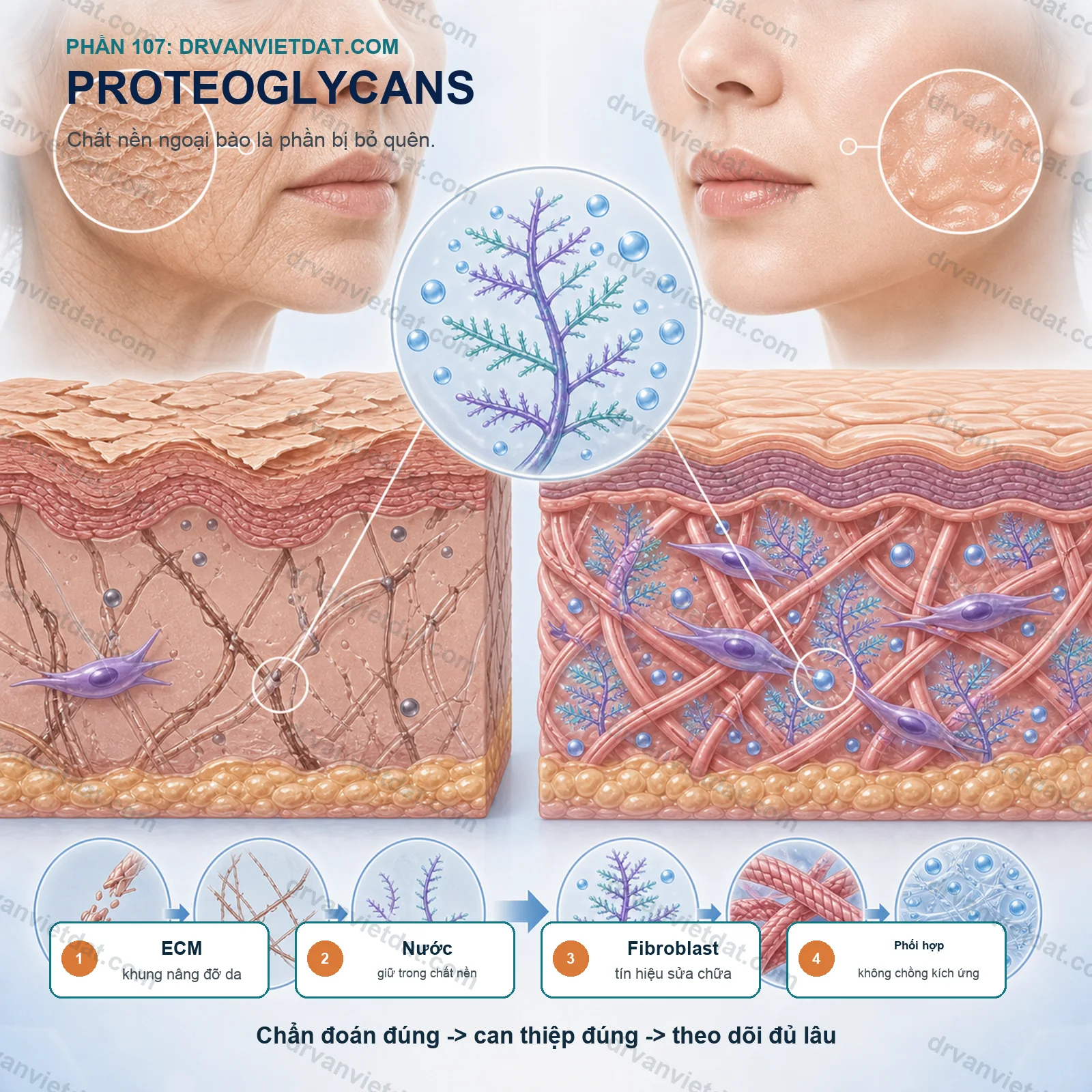 Phần 107: Hoạt chất chăm sóc da: hiểu cơ chế trước khi phối hợp trên da thật (phần câu hỏi thường gặp) - chuyên đề 2