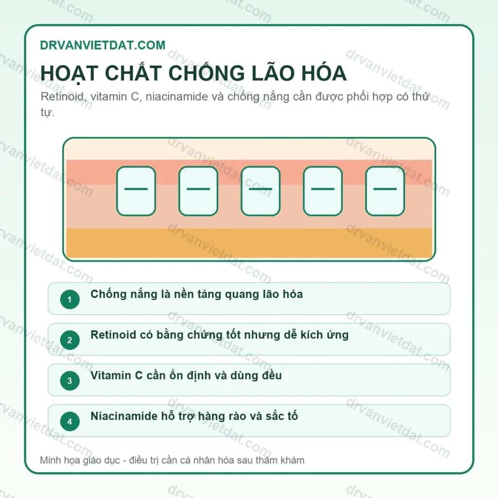 Infographic hoạt chất chống lão hóa