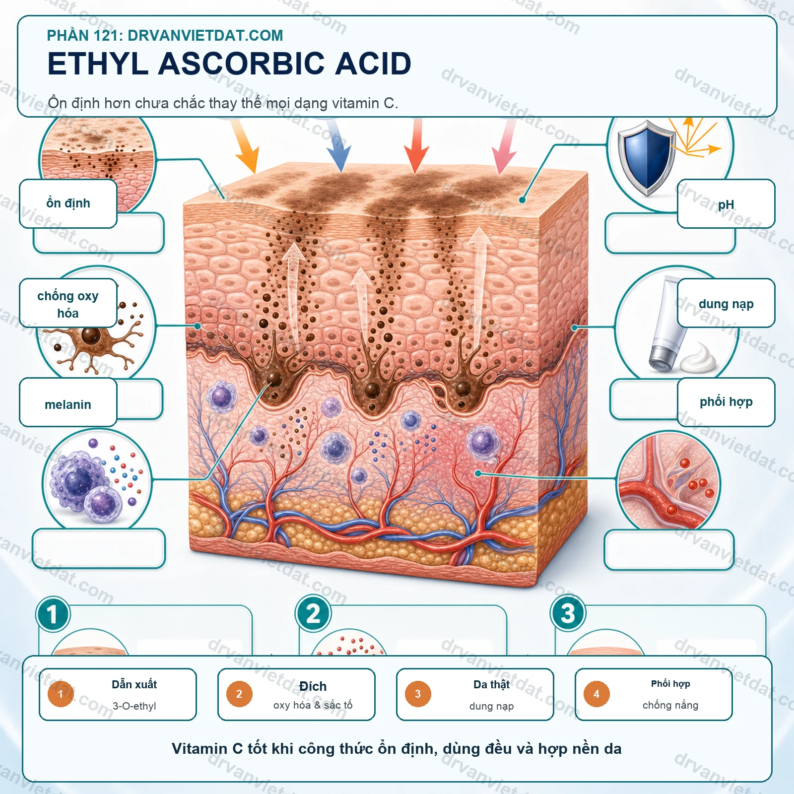 Phần 121: Ethyl ascorbic acid: ổn định hơn có đồng nghĩa tốt hơn L-ascorbic acid?