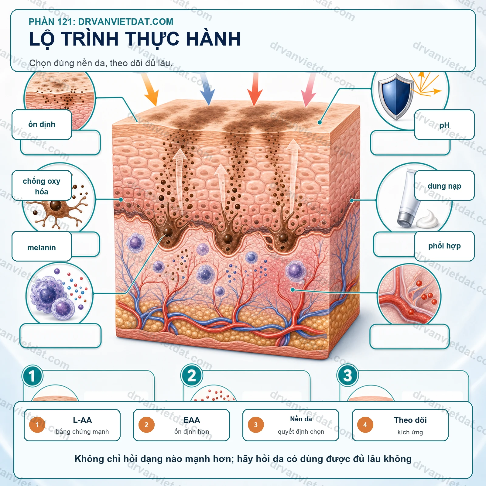 Phần 121: Ethyl ascorbic acid: ổn định hơn có đồng nghĩa tốt hơn L-ascorbic acid?